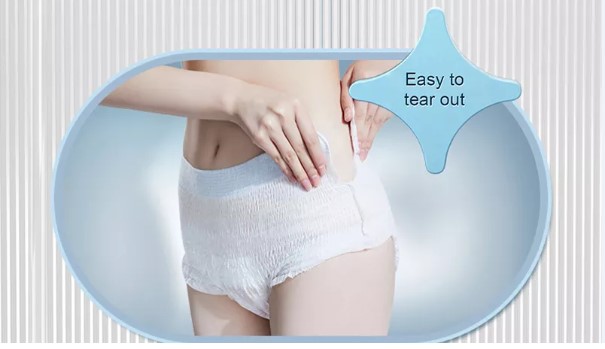 Buy Wholesale China Good Quality Soft Nursing Maternity Underwear Lightly  Absorbent Thong Lncontinence Underwear & Briefs at USD 1.5